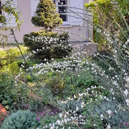 Maison La Parenthèse Hébergement de vacances Vittel